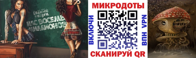 Псилоцибиновые грибы Psilocybe хочу Гаврилов Посад